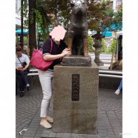 IMG_1528983308.872859.jpg