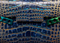 Delvaux 6.png