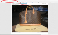 my lv alma THE NERVE!!.PNG