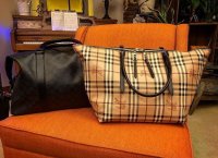 Coach and Burberry.JPG