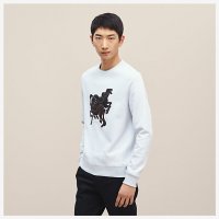 brazilian-horses-sweater--847395HA73-worn-2-50-0-579-579.jpg