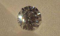 DSC07541.jpg
