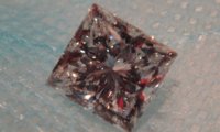 DSC07539.jpg