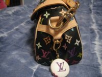 Bags and Car 031.jpg