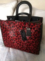 Coach Rogue Wild Hearts - front.JPG