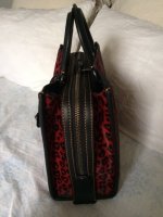 Coach Wild Hearts - Side.JPG
