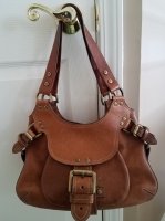 Mulberry Phoebe.jpg