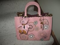 Tea Rose Rogue 001.JPG