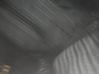 pic11.jpg
