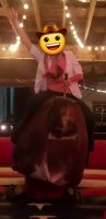 bull riding4.jpg