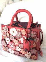 Coach Washed Red Tea Rose Rogue.JPG