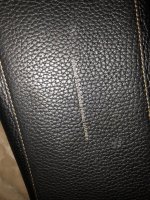 IMG_3958.jpg