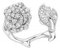 dior ring.jpg