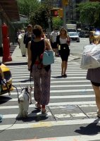 IMG_20180611_144129.jpg