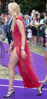 IMG_1424.jpg