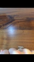 IMG_1530297791.757759.jpg