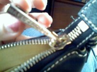 mjcammiezipper2.JPG