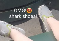 shark shoes.jpg