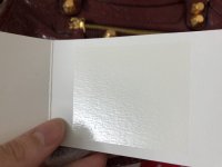 C23A24C7-D247-4F3A-98E3-E890FF333403.jpeg