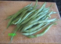 BEANS.jpg