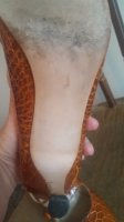 20180706_192957.jpg