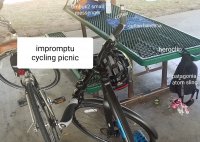 cycling bags & nosh.jpg