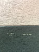 Celine2.jpeg