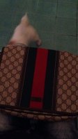IMG-20180703-WA0042.jpg