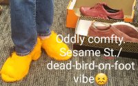 dead bird shoes.jpg