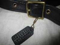 Coach 9966 005.JPG