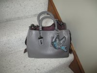 My grey rogue 002.JPG