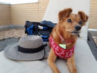 20180714_173347.jpg