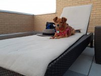 20180714_173249.jpg