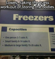 lowes freezer.png