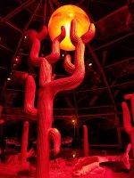 20180719_205649.jpg