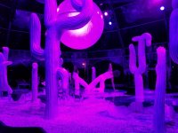 20180719_221250.jpg