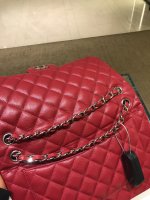 IMG_2739.jpeg