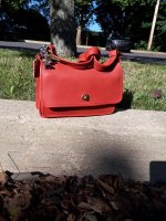 20180726_173412.jpg