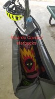 cavolo in bike trunk.jpg