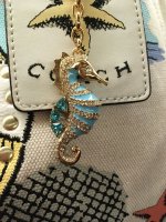 Seahorse_KateS_001.jpg