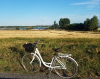 pacsafe & bike on Ærø.jpg
