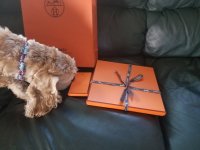20180806_190148.jpg