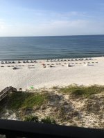 IMG_1534077753.980367.jpg