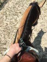 3265CF81-8306-4A2C-8C88-B556E8F37B0D.jpeg
