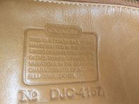the_primitive_pumpkin  fake coach DJC 4157.jpg