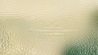 20180806_044456_Film3.jpg