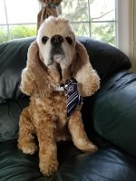 20180820_102109.jpg