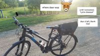 lyme disease & bike.jpg