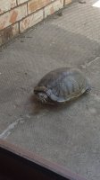 visitor on patio.jpg
