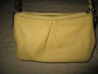 Coach yellow pouch 004.JPG